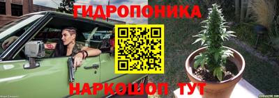 PSILOCYBIN Таганрог