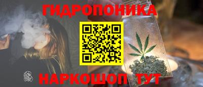 PSILOCYBIN Таганрог